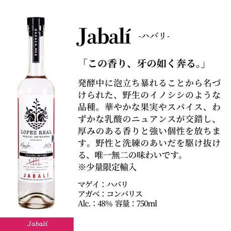 【送料無料】Lopez Real Jabaí / ロペス レアル ハバリ