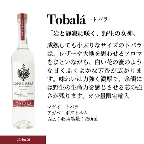 【送料無料】Lopez Real Tobalá / ロペス レアル トバラ