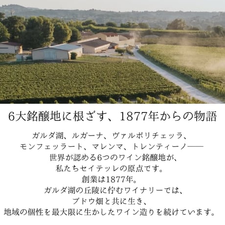 No.9203 セイテッレ トラディショナル キアレット ディ バルドリーノDOC