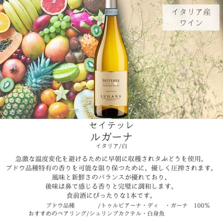 【送料無料】【白ワイン飲み比べ】スペイン・イタリア産 おすすめ白ワイン 4本セット