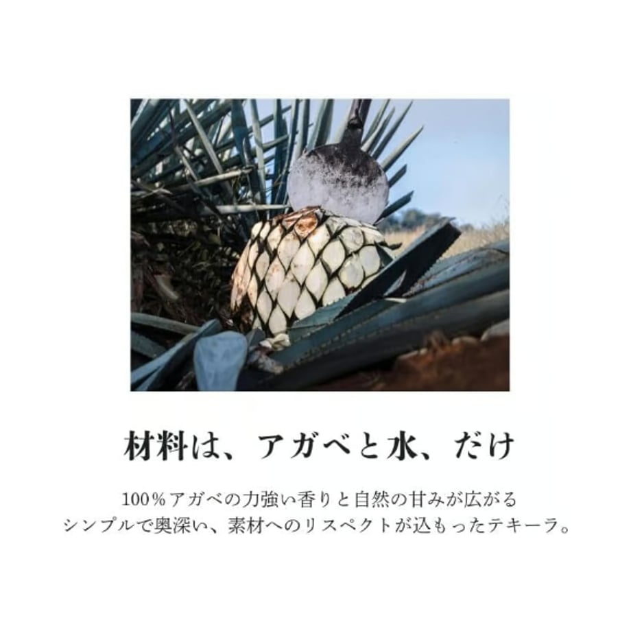 651fc4ed06b01a04be642eb1