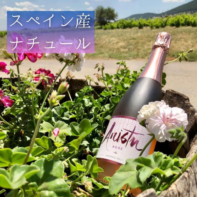 送料無料】No.9005 アリストゥ ブリュット ロぜ | jdox.stores.jp