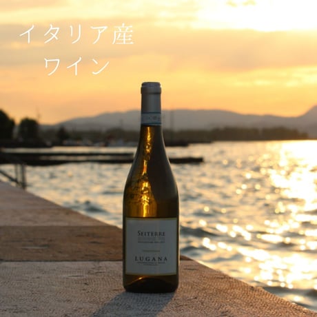 【送料無料】【白ワイン飲み比べ】スペイン・イタリア産 おすすめ白ワイン 4本セット