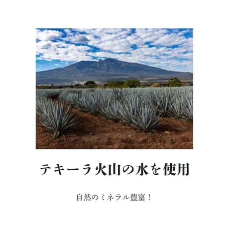 【送料無料】El Tequileño Gran Reserva / エル テキレーニョ グランレゼルバ（レポサド）