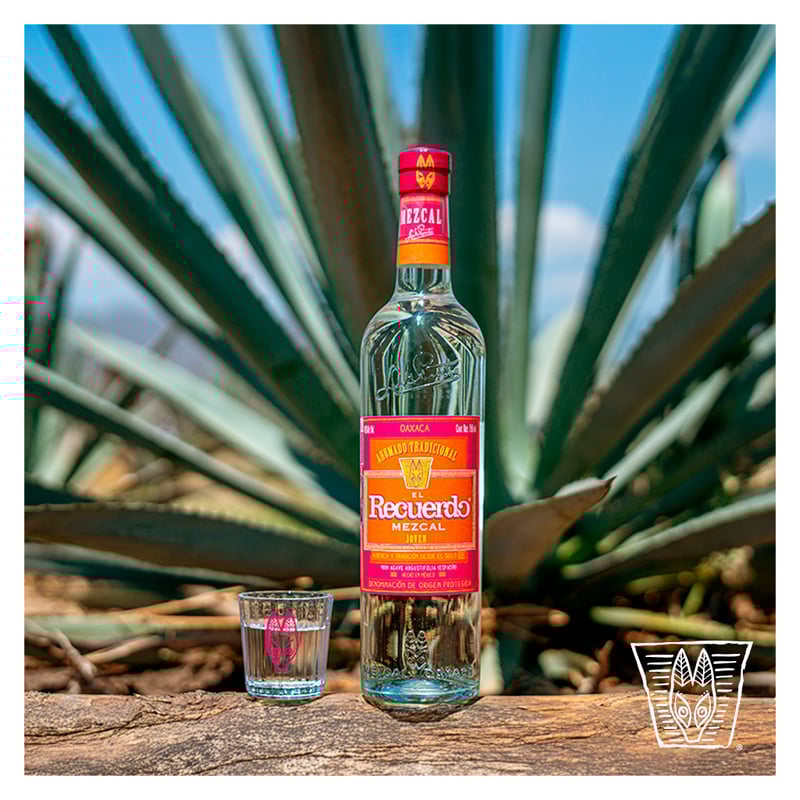 センペルビウム　エルグレコ　Elgreco センペルビウム エルグレコ Elgreco 楽天市場】ブロンコ