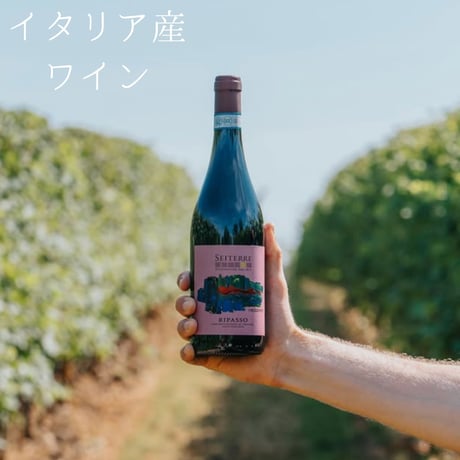 【送料無料】No.9207 セイテッレ オリゾンティ ヴァルポリチェッラ リパッソDOC