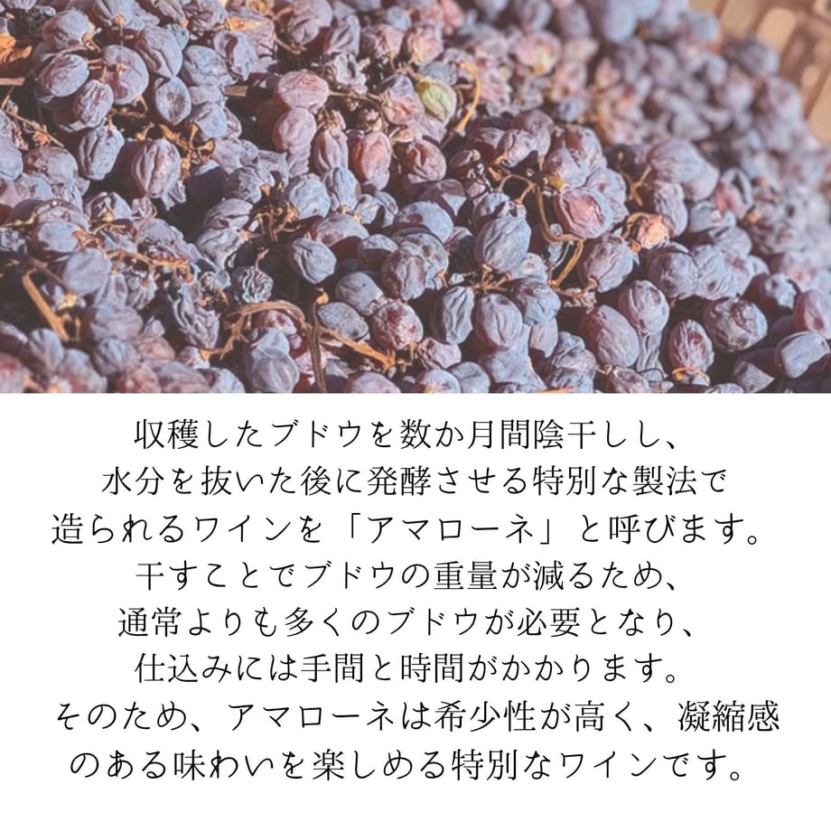 654c95e6ea1c920001d62fe9