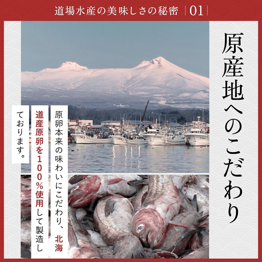 6204b75772c5de2bbdba93fc