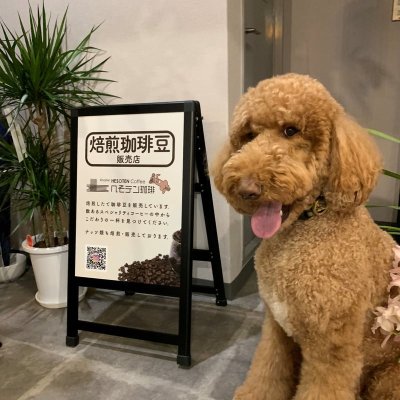 深煎りがおすすめ】インドネシア スラウェシ ママサ 150g | へそテン珈琲