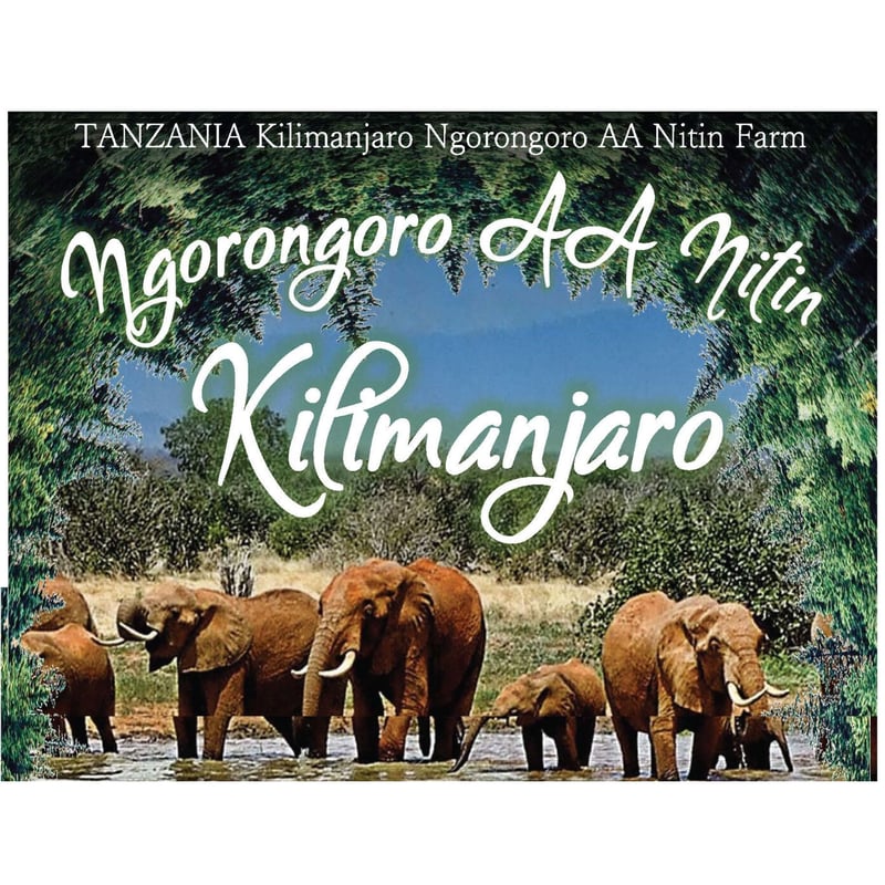 タンザニア キリマンジャロAA ンゴロンゴロ 300g（20％お得です