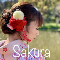Sakura~Spring ~