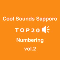 ナンバリング ボリューム2　NUMBER20～NUMBER11セット