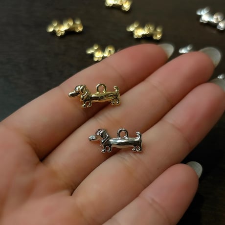 ミニチュアダックスフンド | STORES