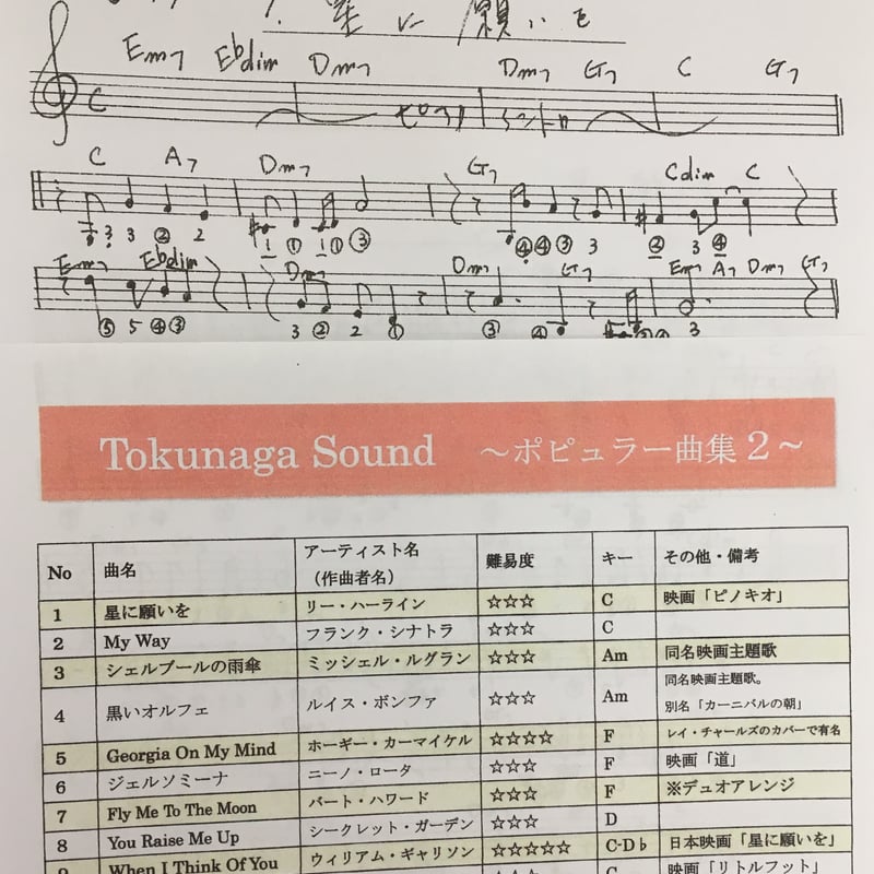 クロマチックハーモニカ 徳永延生 楽譜集 ポピュラー音楽曲集＜2