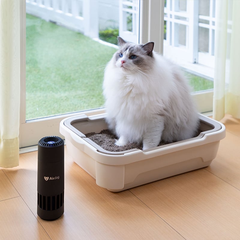 Airdogmini エアドッグミニ Airdog エアドッグ mini ミニ マット 