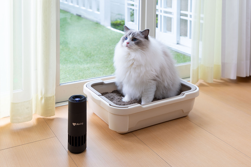 【美品】使用2日 エアドッグミニ ポータブル エアドッグミニポータブルの空気清浄能力が凄すぎる！車内空間が
