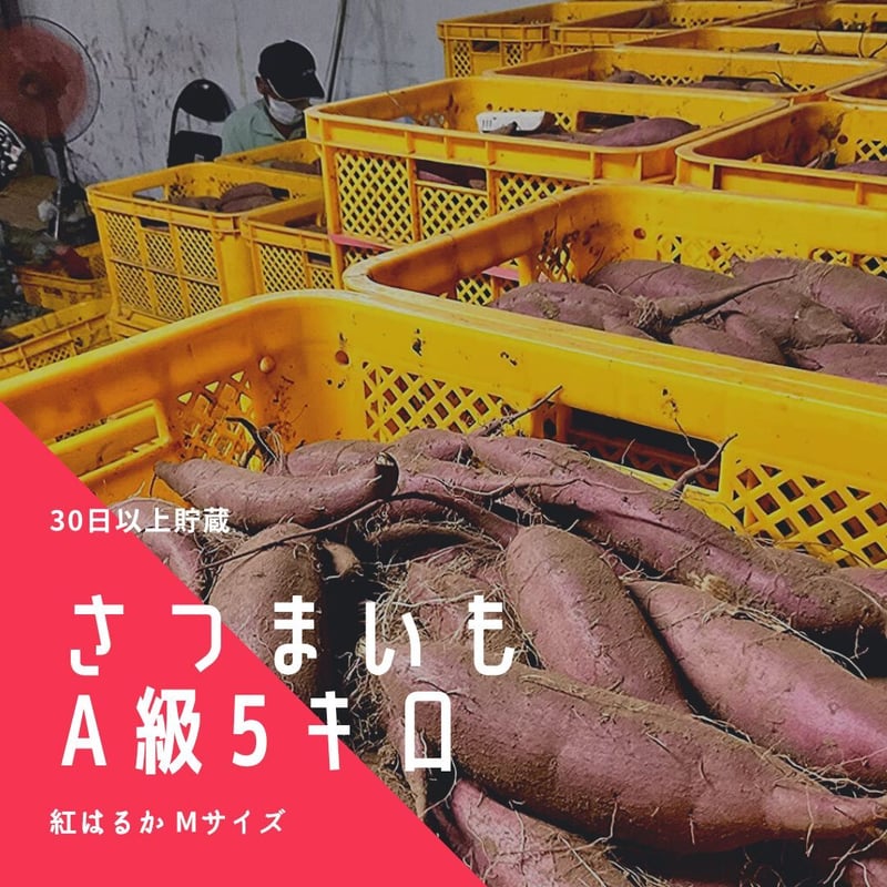 あ茨城県産紅はるかMサイズ30キロ H IRO品 茨城県産紅はるかMサイズ30キロ H IRO様専用品 茨城県