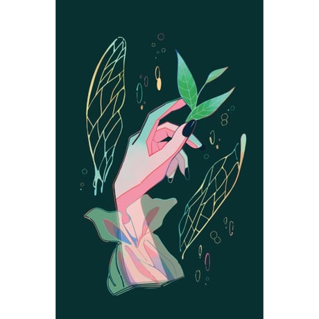 蜂蜜茶醸酒2026 / お茶の自然発酵ミード / ANTELOPE