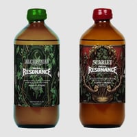 スカーレット ピーチ アマーロ 2024 | ヨハクノモリ