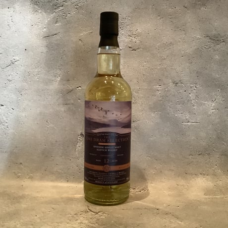 ドラムラッド | STORES