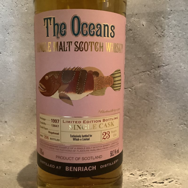 オーシャンズ ベンリアック1997 | ヨハクノモリ