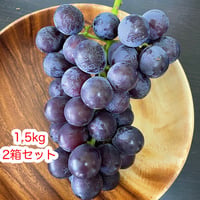 【送料込】【２箱セット】あま〜い種あり巨峰１.５キロ（４～５房）クール便化粧箱入り