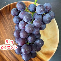 【送料込】【２箱セット】あま〜い種あり巨峰５キロ（１２～１５房）クール便化粧箱入り
