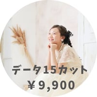 データ15カット