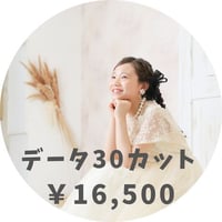 データ30カット