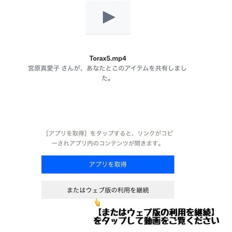 Vol.19 Take me bag by RM キット⭐️パートナーシップ付　通常販売