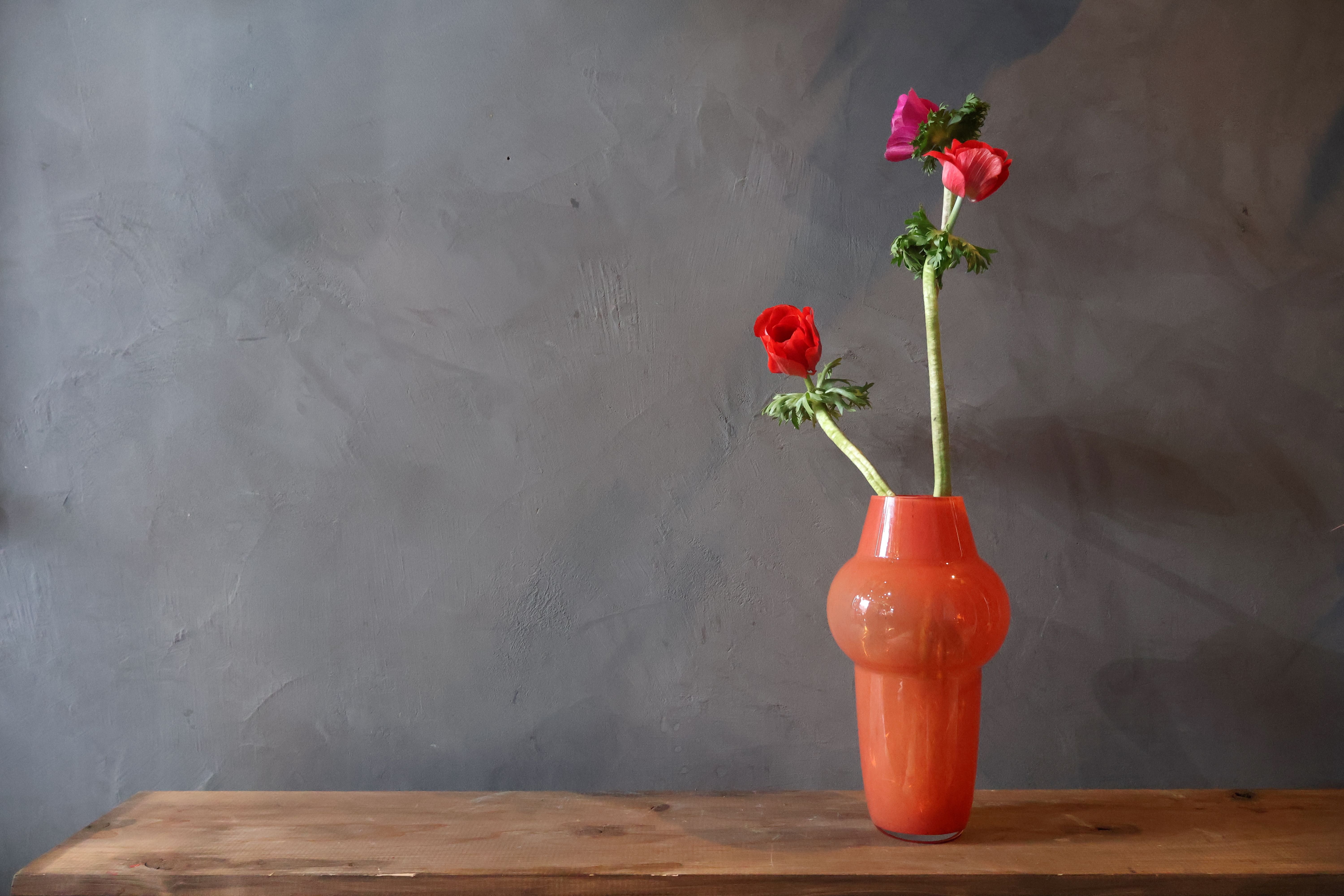 FARM-tamara 28 R- | FLOWER&ANTIQUE misawa