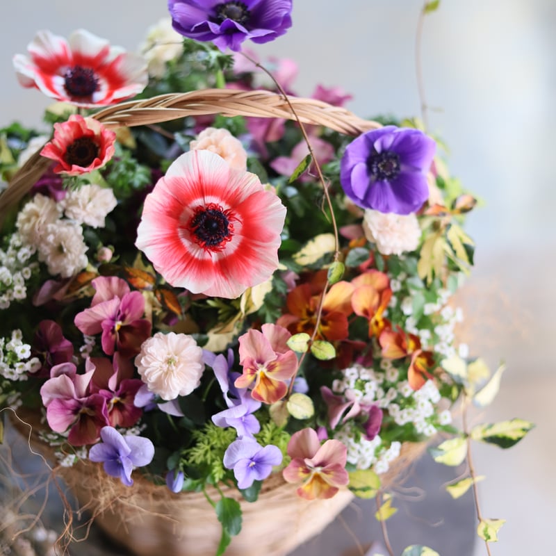 魔女の花大好きじゅく】11/11(土)Green life Zoom webinars視聴無 魔女の花大好きじゅく】11/11(土)Green life Zoom webinars視聴無