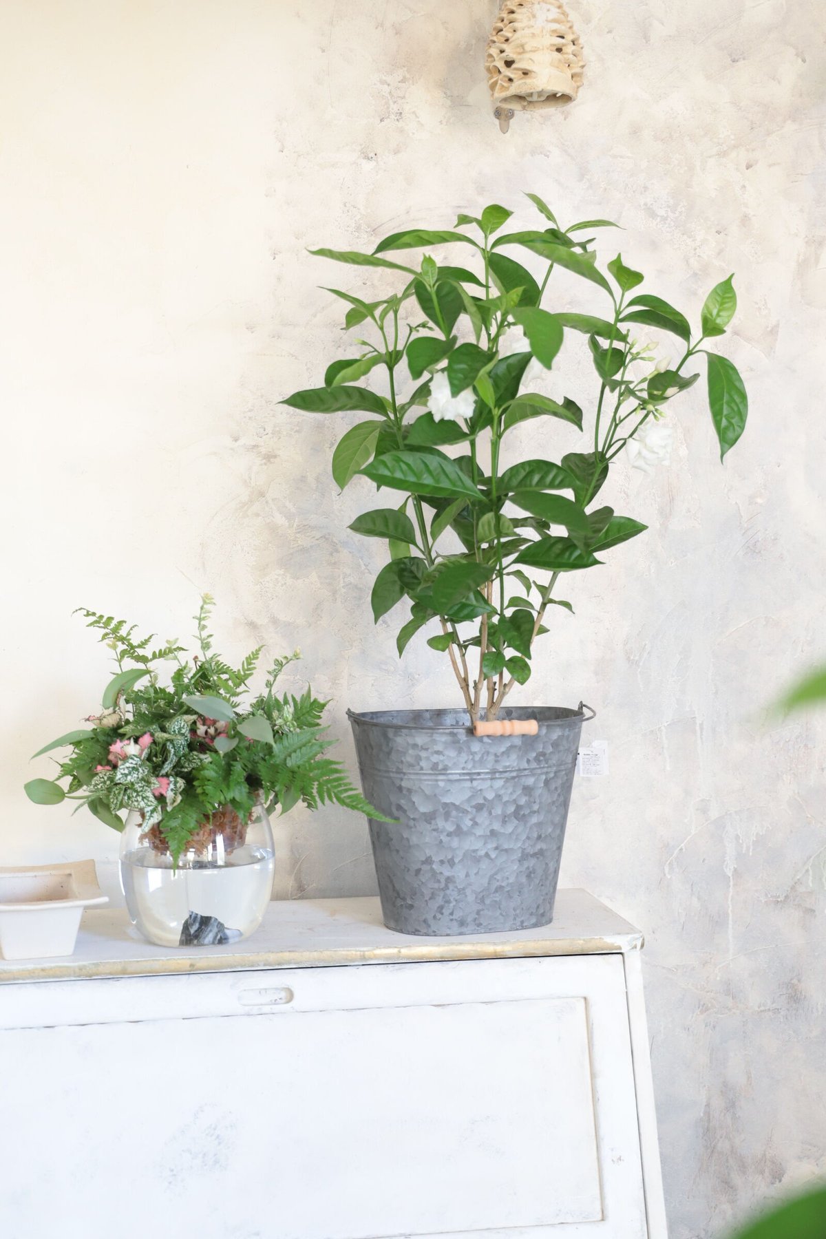 out         ❁ブリキのナチュラルお花バケツ&ホウキset❁ fit=scale-down,w=1200