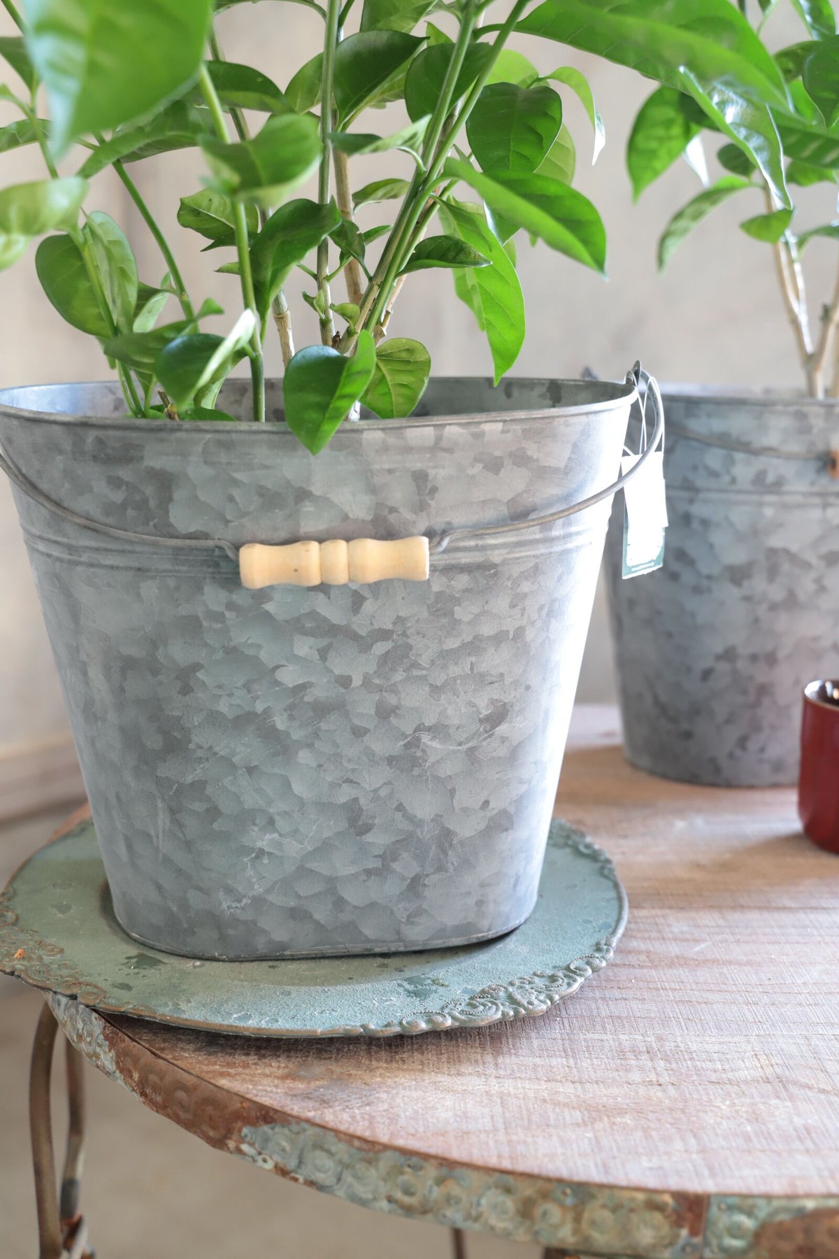 ブリキのバケツポット | 魔女の花のお店