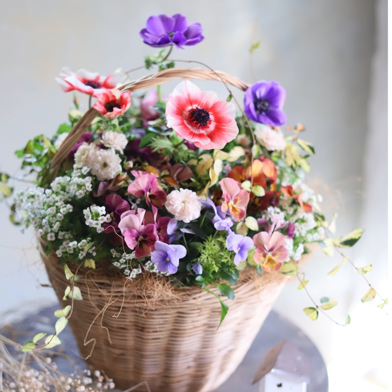 魔女の花大好きじゅく】11/11(土)Green life Zoom webinars視聴無