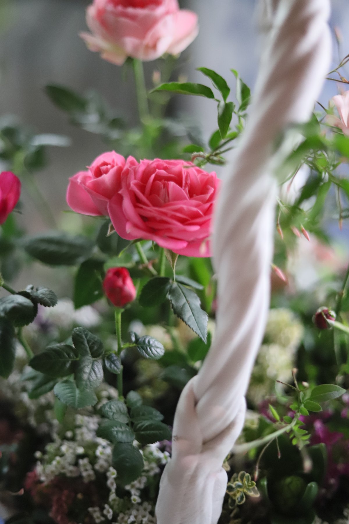 【魔女の花大好きじゅく】2/17(土)Green life Zoom webinars視聴無料...