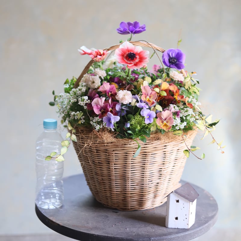 魔女の花大好きじゅく】11/11(土)Green life Zoom webinars視聴無