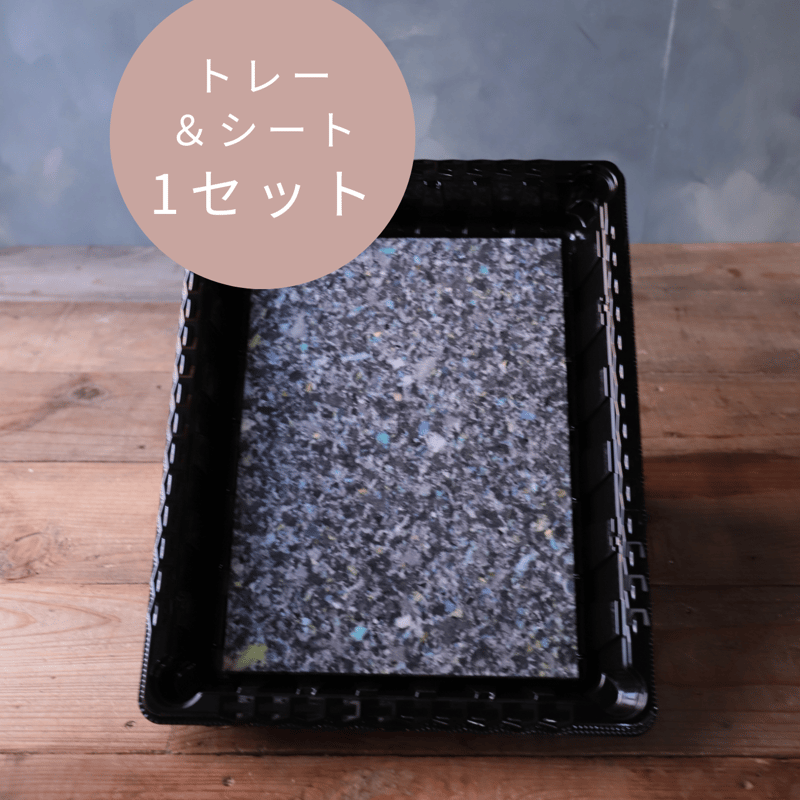 アクアセルトレー&Rシート 1セット | 魔女の花のお店 アクアセルトレー&Rシート 1セット | 魔女の花のお店