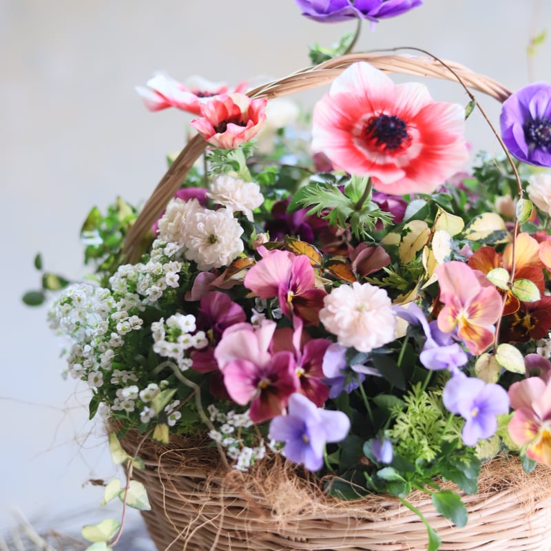 魔女の花大好きじゅく】11/11(土)Green life Zoom webinars視聴無