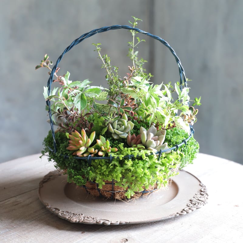 魔女の花大好きじゅく】 7/9(土) Green life Zoom webinars ワー