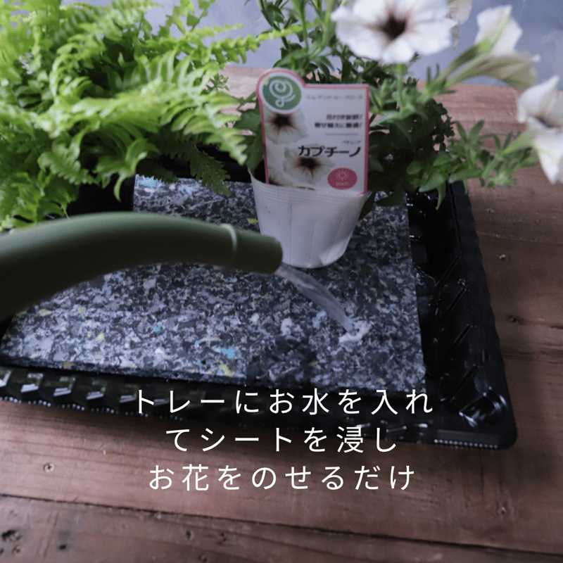 アクアセルトレー＆Rシート 1セット | 魔女の花のお店