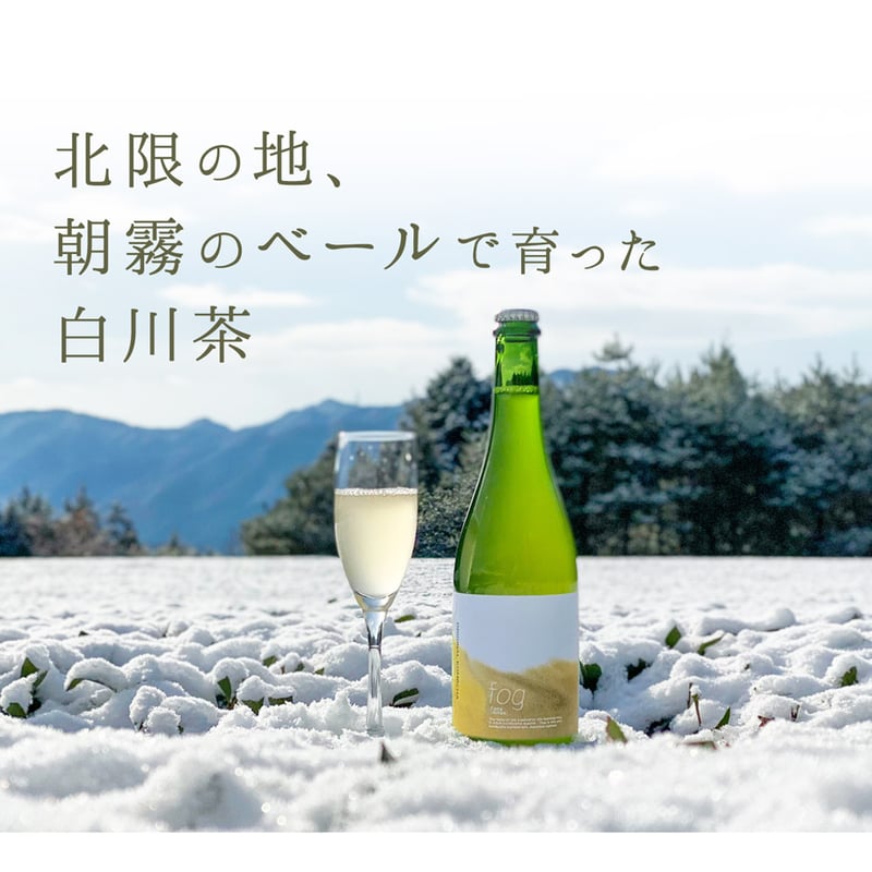コンブチャ abdba6bc02c5c4924a2ddd93f23ab9