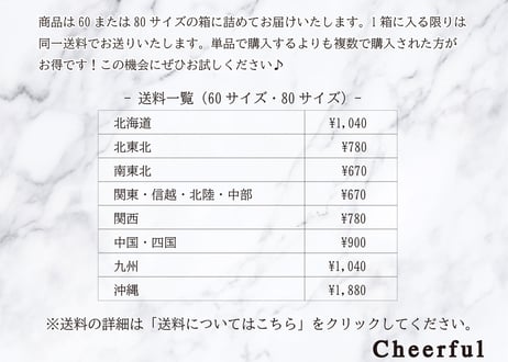 マフィン　プレーン１個（個包装）