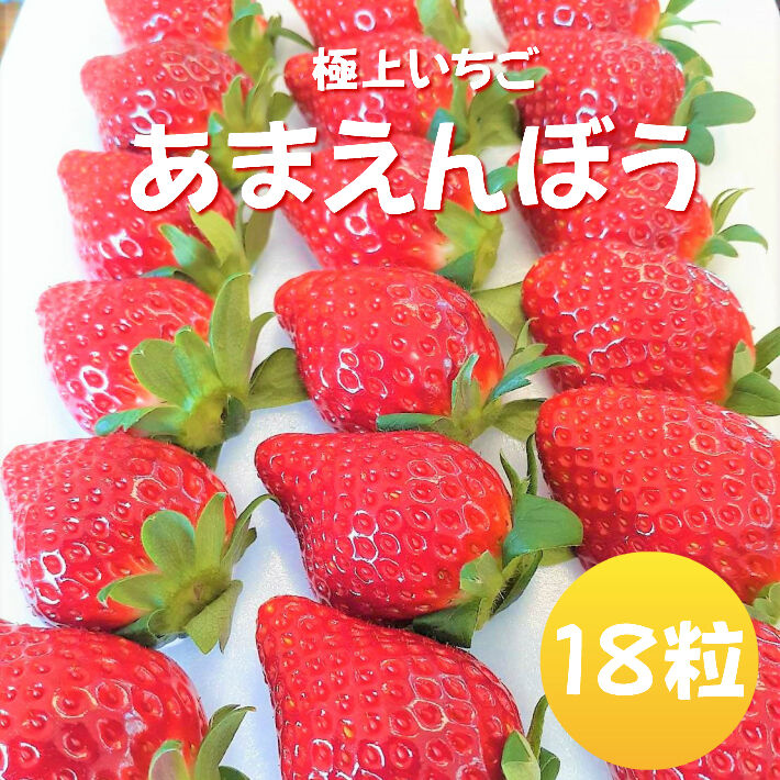 【横田農園オリジナル】１８粒 濃厚いちご いちご 福島県産 須賀川 とちおとめ あまえんぼう