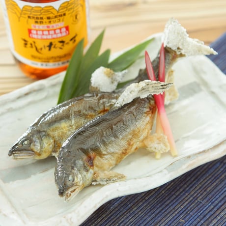 ニューまるしげげんきっす　500ml（6本セット）  【消費者庁許可　特定保健用食品】〈自社商品〉