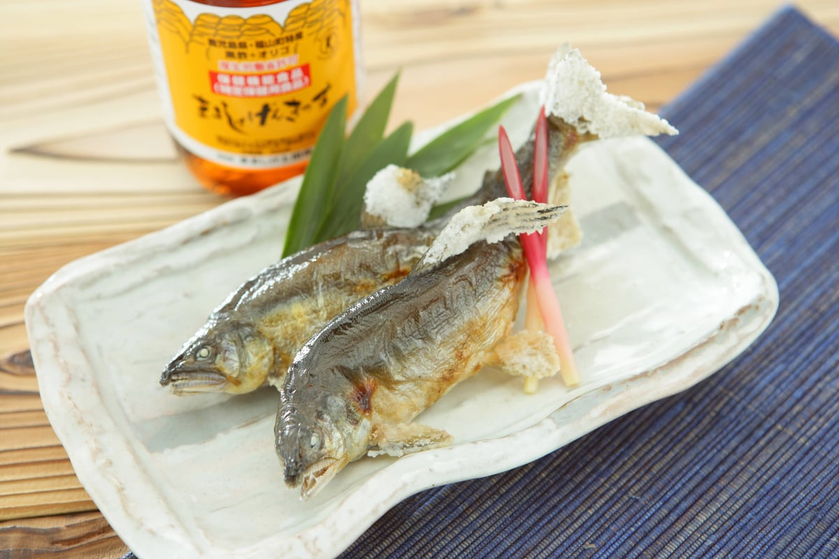 ニューまるしげげんきっす 500ml 【消費者庁許可 特定保健用食品 