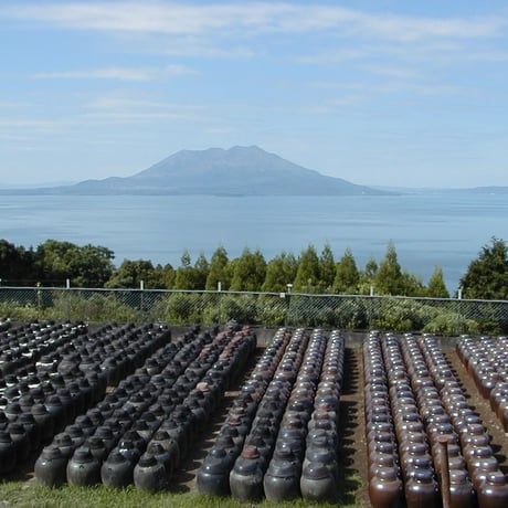 黒酢もろみ球α30日分〈自社商品〉天覧品黒酢もろみ成分20％　α‐リノレン酸を50％以上含む亜麻仁油配合