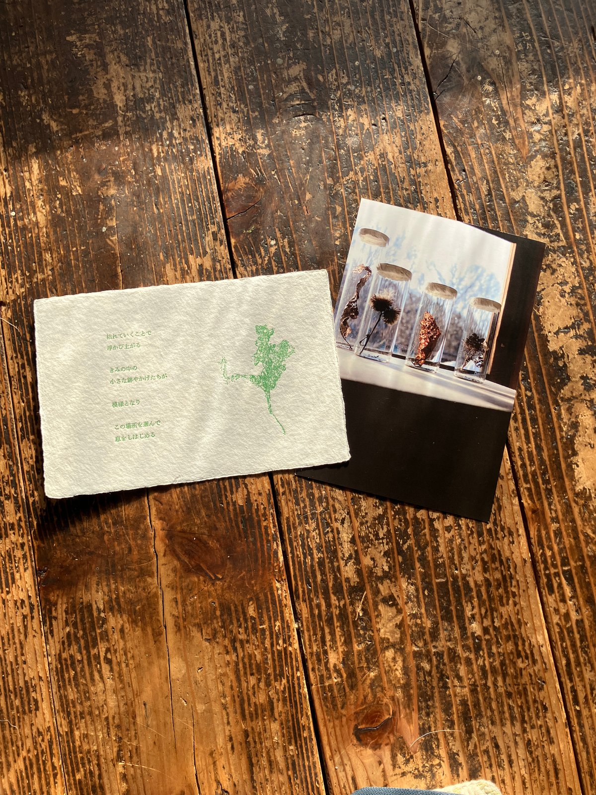 枯れた花に涙を 1〜4巻セット 初版特典 ステッカー フォトカード ポストカード おたのしみはがきセットーポストカードと枯展はがき | 枯句 - koku -