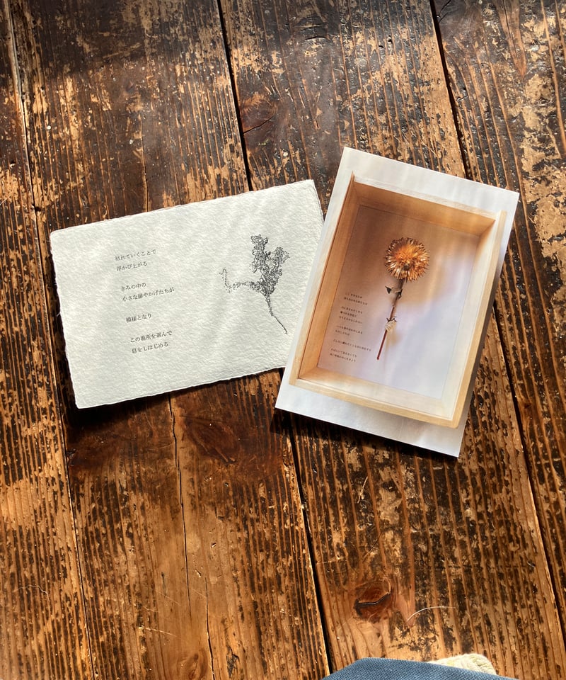 おたのしみはがきセットーポストカードと枯展はがき | 枯句 - koku -