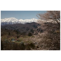 春の訪れ